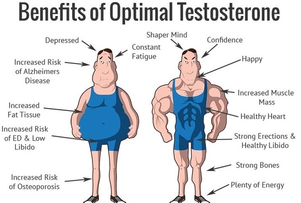 Testosterone: Its impact on Men's Health & Low Testosterone Treatment Options